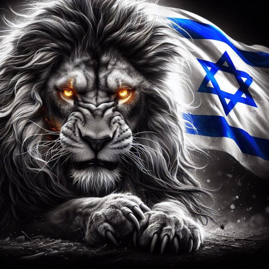 Hannes Pechthold 🎗️ 🇩🇪🇮🇱🇺🇦🇬🇪🇪🇺 tweet media