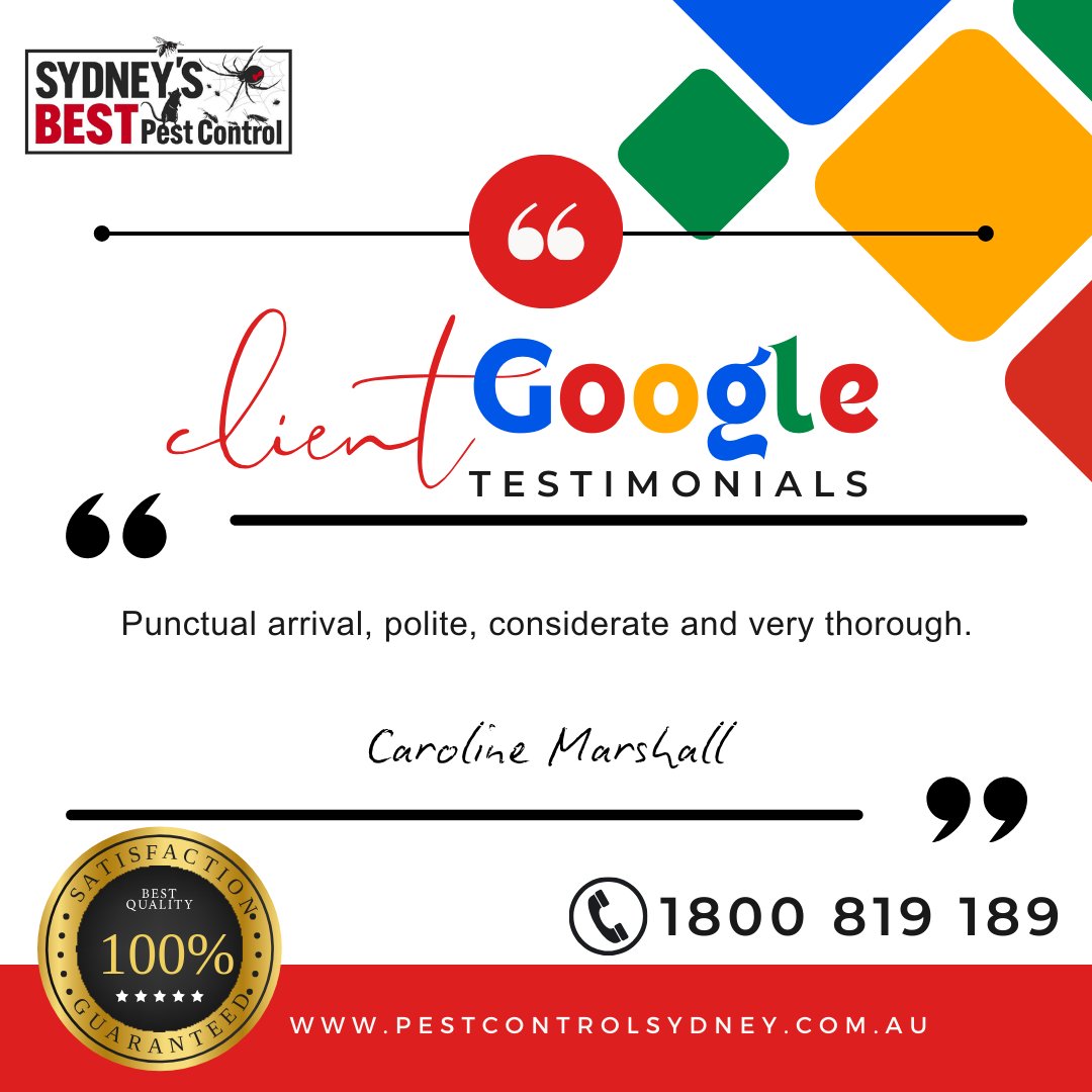 sbpestcontrol's tweet image. 🌟 Real Reviews, Real Results! 🌟

We're thrilled to share genuine feedback from our amazing customers on Google! 🐜🕷️

P: 1800 819 189
W: bit.ly/3DisFra  

#CustomerFeedback #PestFreeLiving #SydneysBestPestControl #SydneyPestControl #HappyCustomers #HomeCare #Term ...