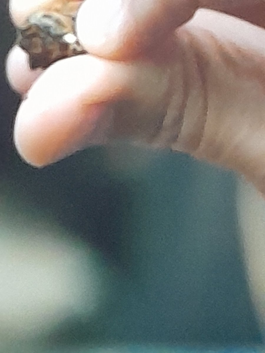 A active vein of gold wtf.