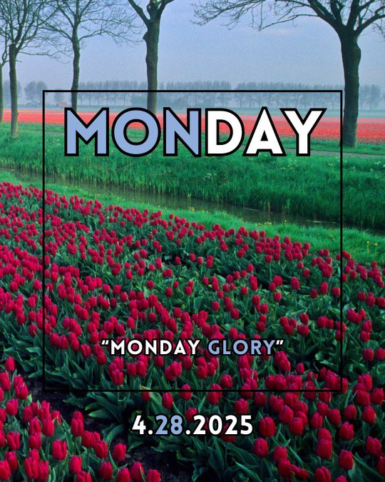 AuthorDarice's tweet photo. A bit of love and positivity to start the week😇
Happy Monday, hope your weekend was relaxing and restful, and if it not, there’s always next weekend 🙏🏻😊
#mondaymotivation #wordstoliveby #christian #christianhumor #jesus #churchmeme #jesusmeme #bible #memes #church #cleanmemes https://t.co/b3MR9zhXTV