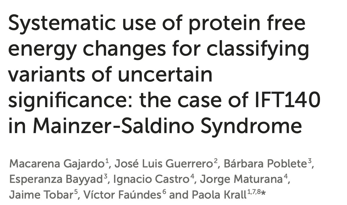 Paola Krall (@krallpaola) on Twitter photo It all started with a patient — as it often does.
Facing an uncertain variant in IFT140, we explored protein free energy changes (ΔΔG) to reclassify VUS and support diagnosis of a rare disease. We’re happy to share what we learned with <a href="/victor_faundes/">Víctor Faúndes</a> doi.org/10.3389/fmolb.… It all started with a patient — as it often does.
Facing an uncertain variant in IFT140, we explored protein free energy changes (ΔΔG) to reclassify VUS and support diagnosis of a rare disease. We’re happy to share what we learned with <a href="/victor_faundes/">Víctor Faúndes</a> doi.org/10.3389/fmolb.…