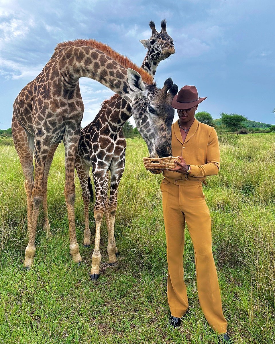 zinghuzo's tweet photo. Wild life #safari #zanzibar #kenya https://t.co/UaWgVEUhAD