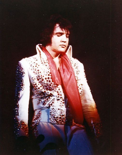 Daily Elvis tweet media
