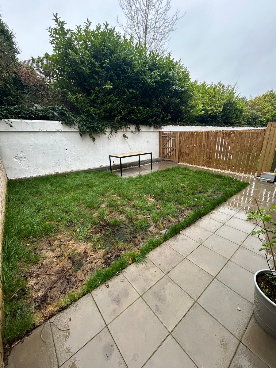 GGMArborists's tweet photo. Swipe to see the before! 👈📸
Check out this recently completed project in Glasgow — just a little change made a massive difference! 💥🌿

Looking to upgrade your outdoor space? 🏡✨
Contact Scotland’s best on 📞 07946 322717 for a FREE, no-obligation quote today! ✅ https://t.co/VNzPxm4cNj