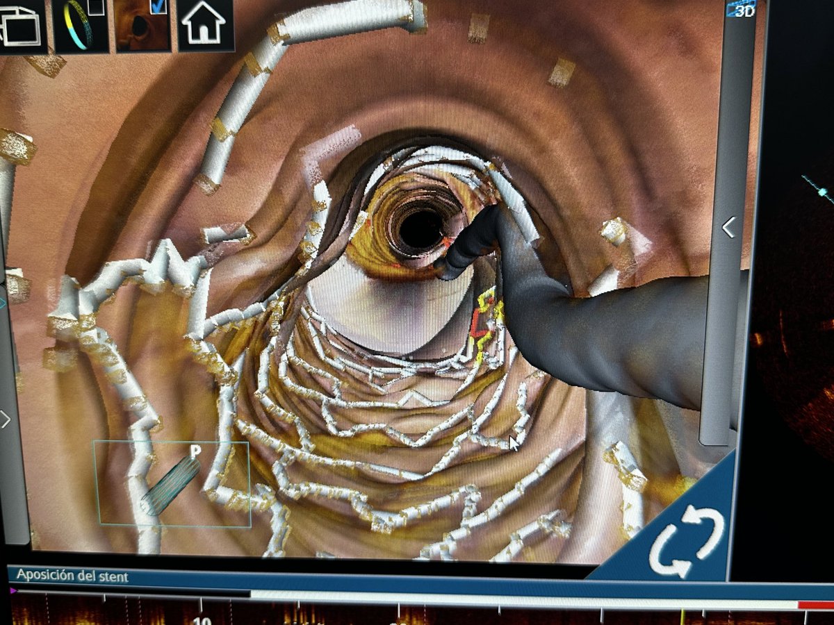 Pablo D. Charry-Amaya tweet media