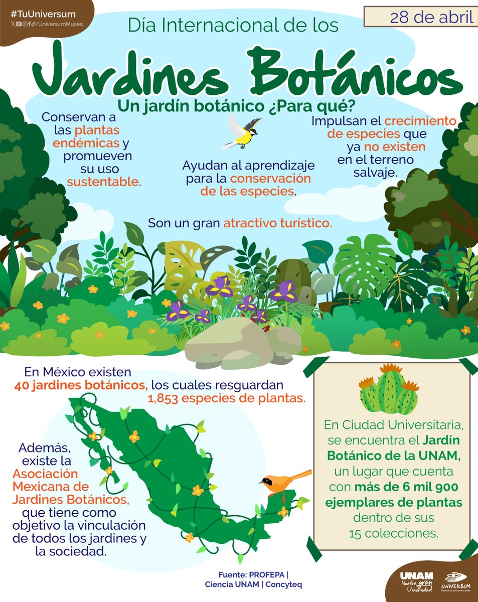 Hoy celebramos a los #JarínesBotánicos
Están destinados a la conservación, investigación y divulgación de la diversidad de las especies vegetales 🌳🌱

#TuUniversum
