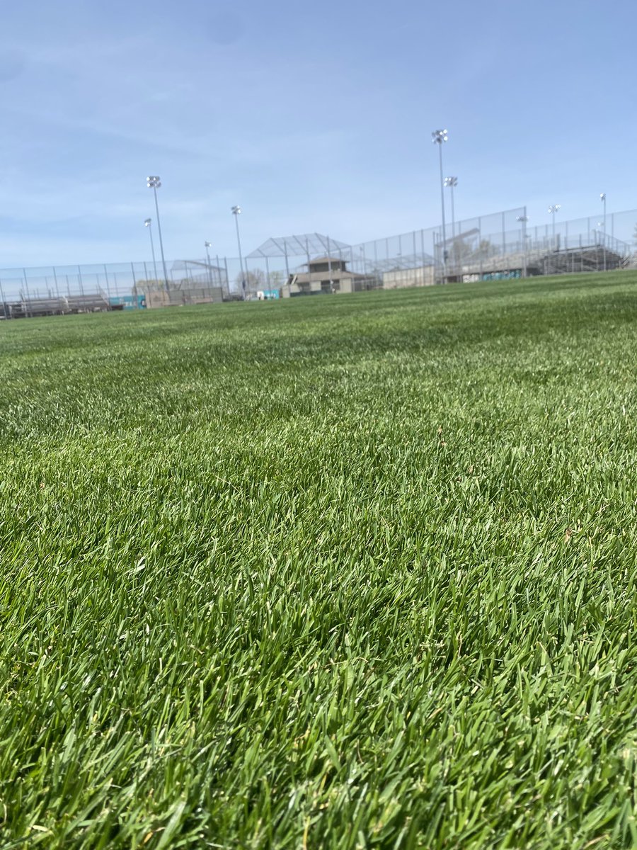 Brian Hall tweet media