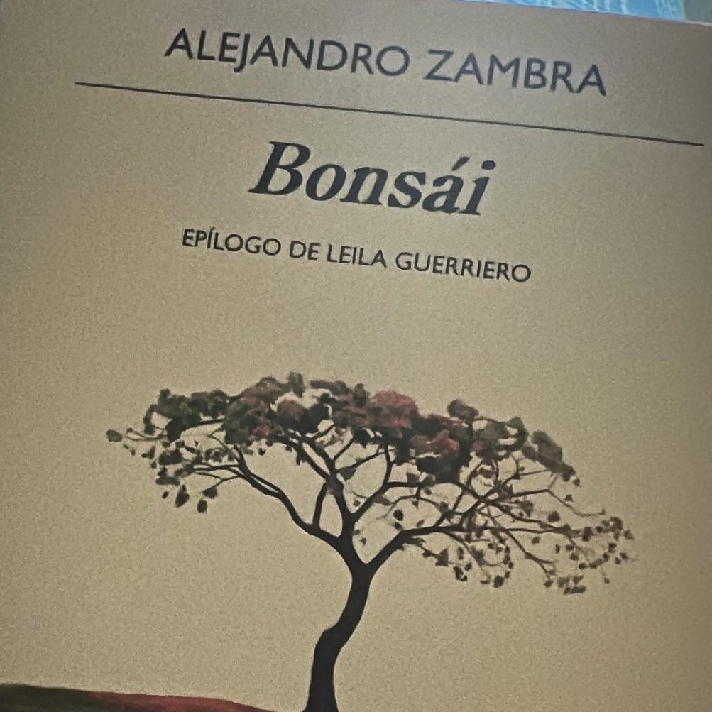 A mí el apagón me ha dado una intimidad impagable con Bonsái y Zambra… 🌳