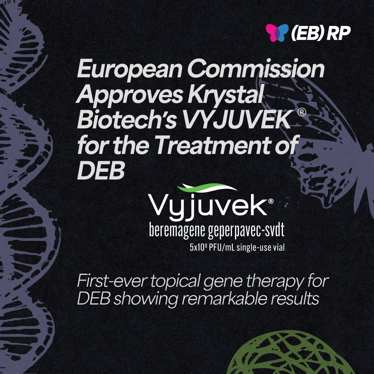 Exciting news! The European Commission (EC) has approved VYJUVEK®, the first-ever topical gene therapy developed to heal chronic wounds in patients with Dystrophic Epidermolysis Bullosa (DEB), for marketing authorization in all European Union member states, as well as Iceland,