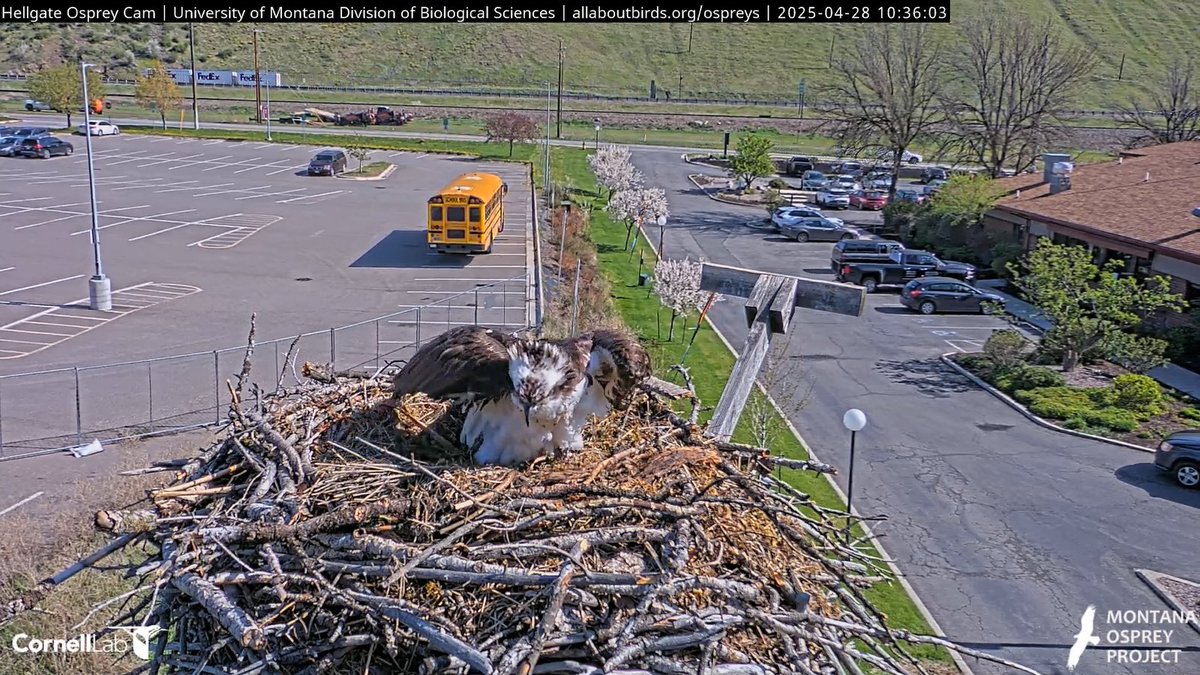 Restful Heart tweet media