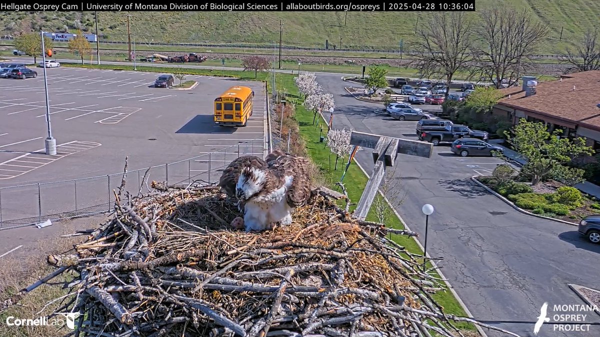 Restful Heart tweet media