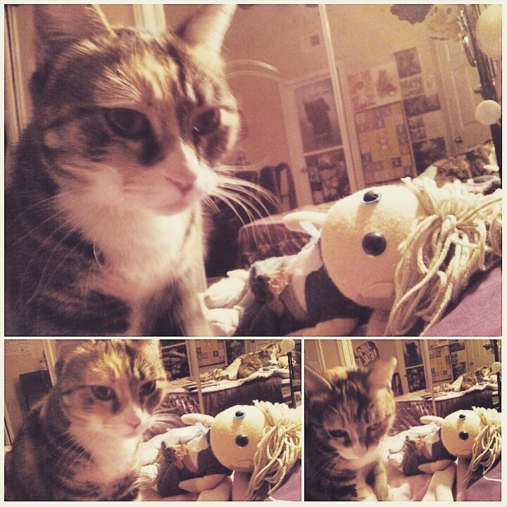 TheCreativeJenn's tweet image. It is true that Ruby died of Stage 4 Kidney Cancer and her anniversary is coming up - this will be the case on my 37th bday when it will be 21 years since my Grandpa "Ray" Byrd died of Lung Cancer.

I celebrate their lives through my name and brand @JRayeStudios, so I fight.