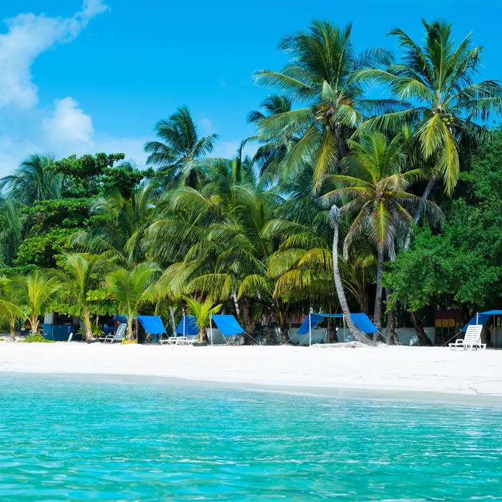 TiquetesBaratos tweet media