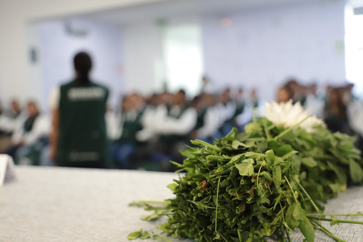 Uegps_Midagri's tweet photo. 📢 ¡Arrancamos en AREQUIPA la #ESCO2025!
Con el lanzamiento oficial, iniciaremos el estudio de costos de producción de la alfalfa 🌿, clave para fortalecer la planificación agraria en la región. https://t.co/OImkzJ58sI
