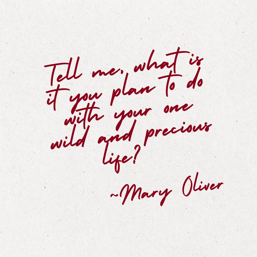 viselibrarycu's tweet photo. Take a moment to relax this week with Mary Oliver's works, available in Vise Library! https://t.co/nV2KMzwZwA