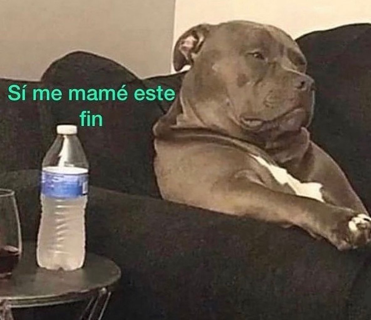 emociones amarillas (@conoloracigarro) on Twitter photo 