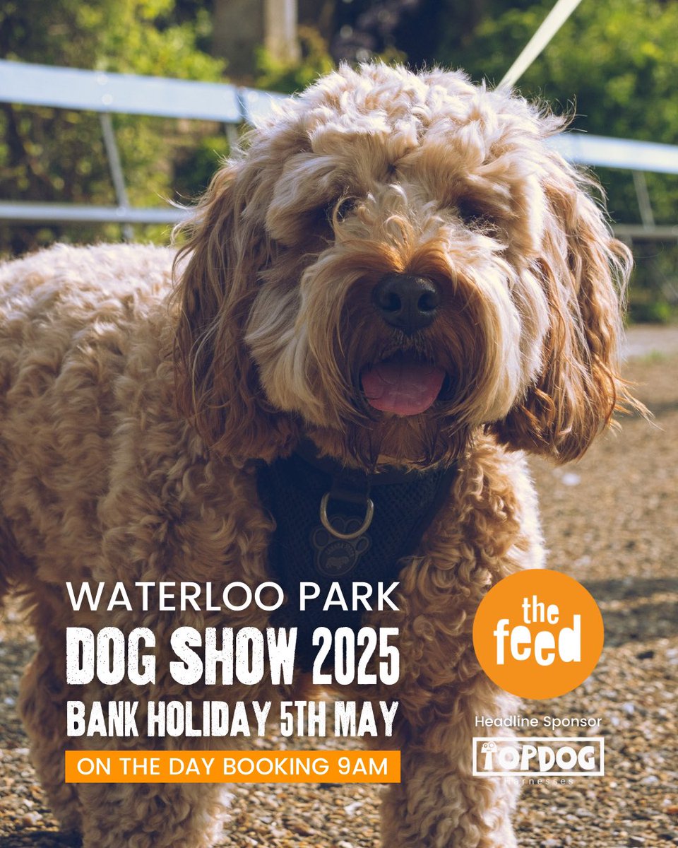 It’s just 1 week to go until our Dog Show 🐕 

The top 3 dogs in each category will receive a rosette &amp; certificate, with the winning dog in each category going forwards to the ‘Best In Show’ class!

The winner of that will receive a trophy to keep 🏆 

thefeed.org.uk/get-involved/e…