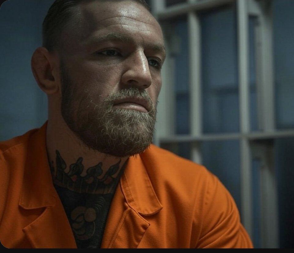 IrishPoliticsNL's tweet photo. Conor McGregor for prison, not president. https://t.co/H0lxLKAbMt