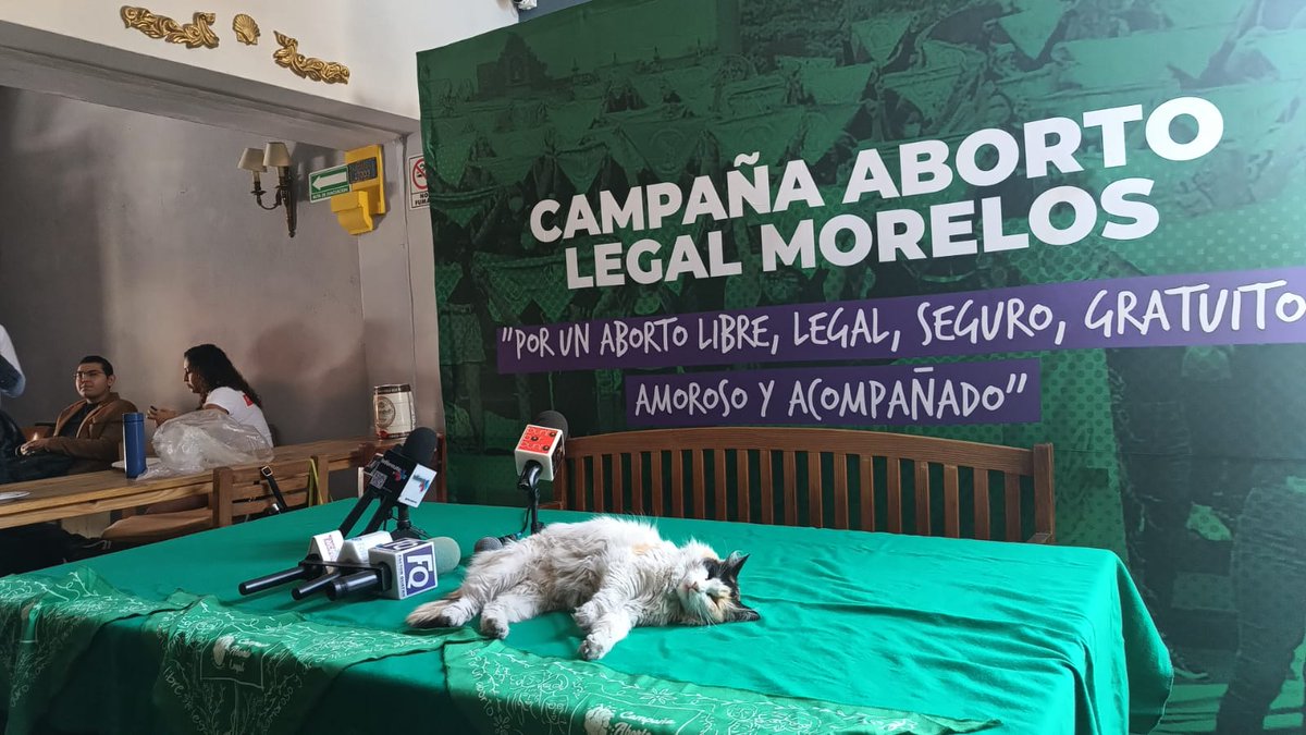 La Michi Walda a favor del #aborto en #Morelos <a href="/Divulvadorxs/">Divulvadoras</a> 😍😍😍😍😍😍😍😍😍😍😍😍😍😍😍😍😍😍😍😍😍😍😍😍😍😍😍😍😍😍😍😍
