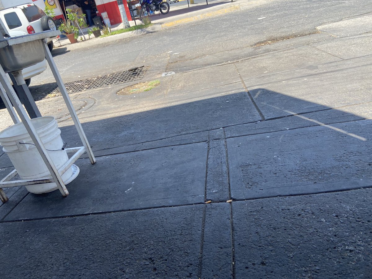 Coraleon tweet media