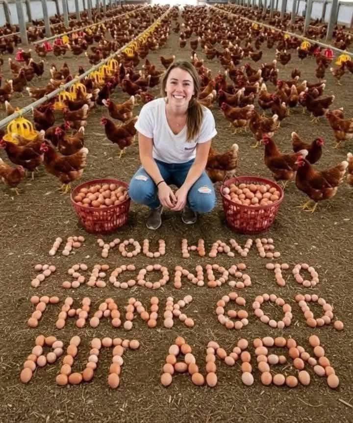 Omo Nwabunike tweet media