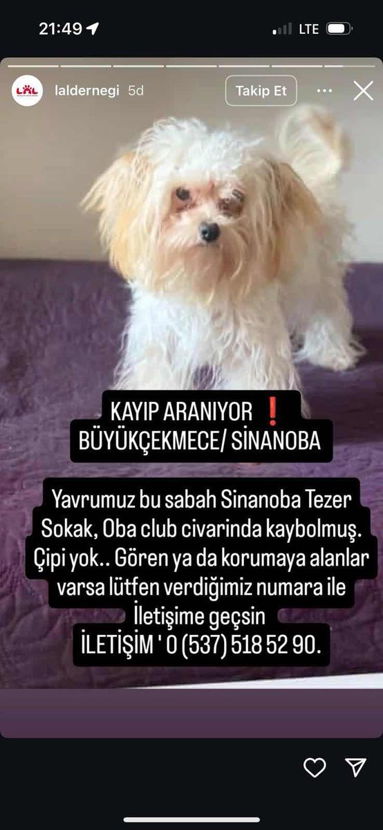 Kayıp İlanı!  
ÖDÜLLÜ İLAN!  
Kopegim Bal Kayboldu 
Ekleyen: Serra Soyisimsiz
İstanbul - Büyükçekmece - Mimarsinan
kayiphayvanlar.com/detail/482
#kayıp #kedi #köpek #kayıphayvan #kayıphayvanlar