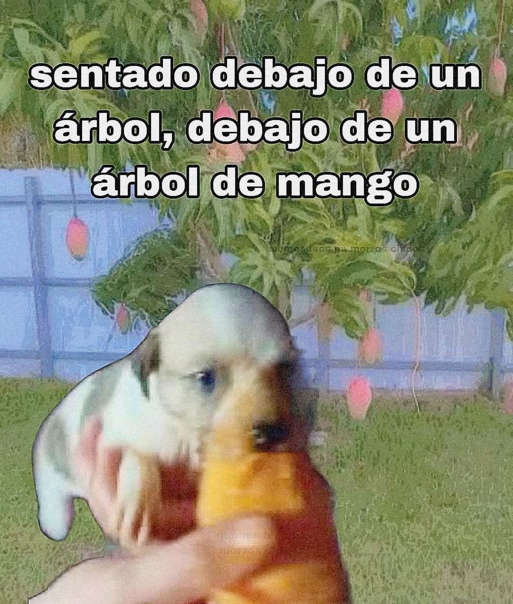nacional_memes's tweet photo. 🐶 https://t.co/4eukPeJUL8