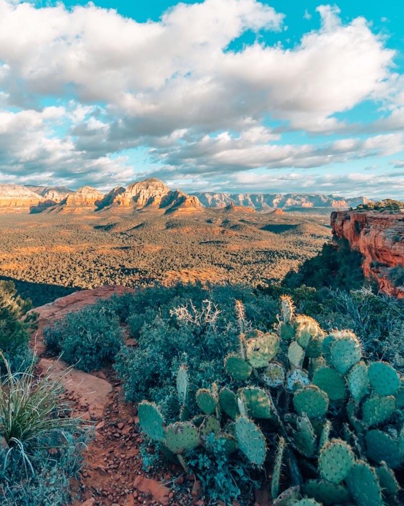 Sedona.org tweet media