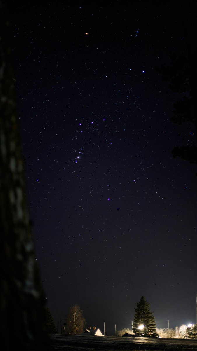 Orion