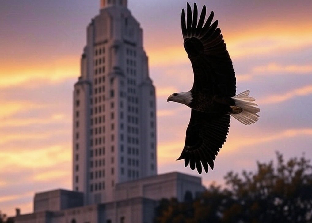 BlakeMiguezLA's tweet image. To my friends in the LA House: Pass strong tort reform bills today—leave the weak ones behind! The Senate fight will be tough, so let’s start with a solid foundation. Good luck! 🏛️💪 #InsuranceReform #TortReform #lalege #lagov