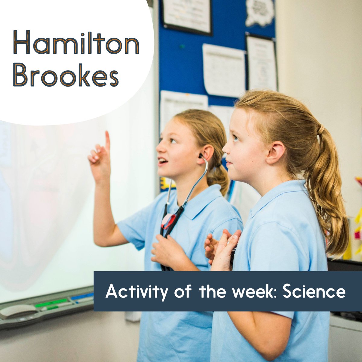 Help your Year 5 students understand the complexities of the human life cycle in 6 weeks. Our resource offers hands-on activities looking to understand foetal development, puberty and old age. Follow the link! loom.ly/jIof8b4