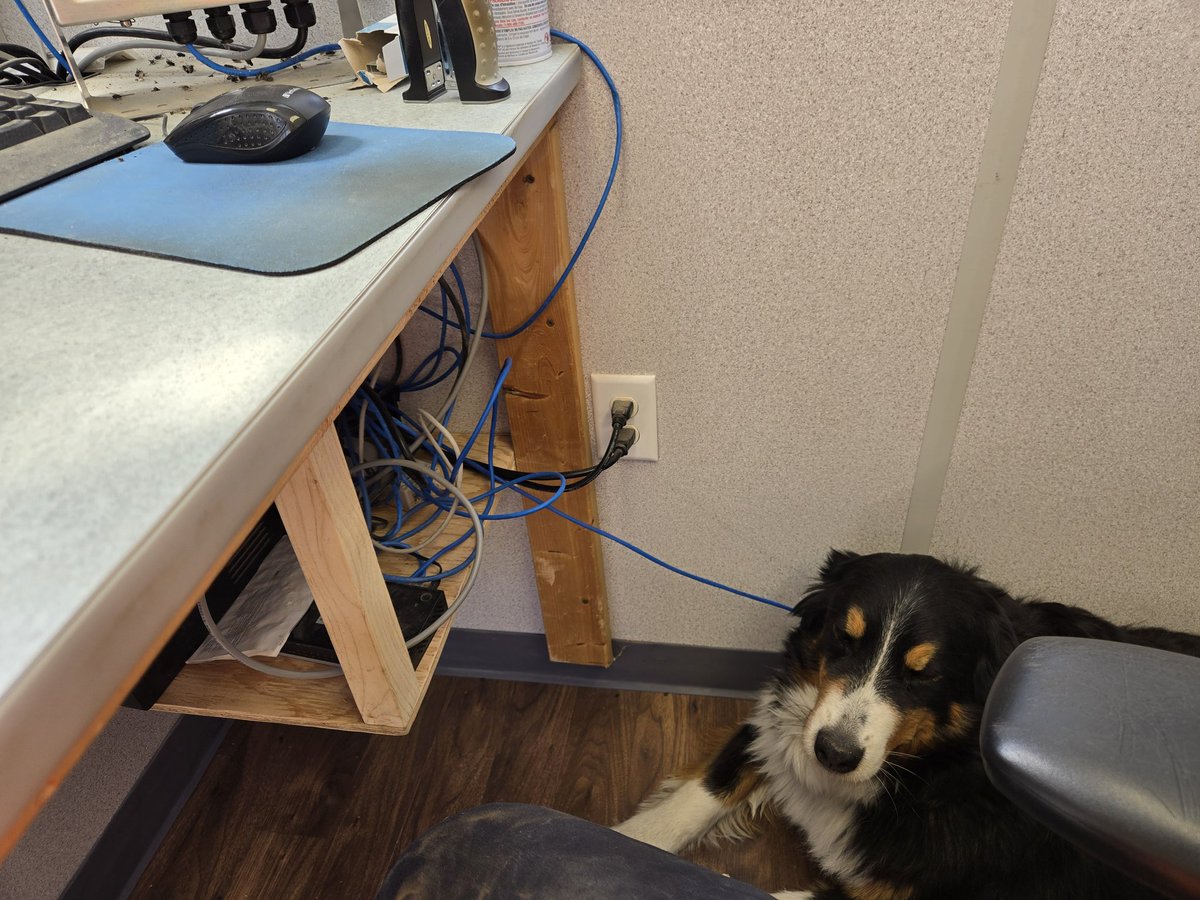 neil driscoll🇨🇦 (@driscoll_neil) on Twitter photo Another busy day of blending fertilizer sure glad I have my helper,work safely everyone from <a href="/HDCAgronomy/">Hensall Co-op Agronomy</a> & HC Drayton Another busy day of blending fertilizer sure glad I have my helper,work safely everyone from <a href="/HDCAgronomy/">Hensall Co-op Agronomy</a> & HC Drayton