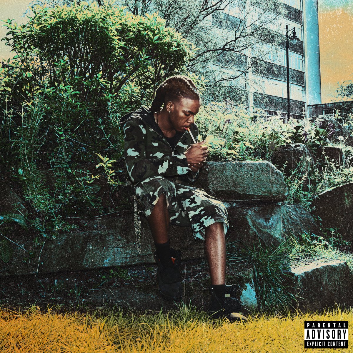 larockxx tweet media