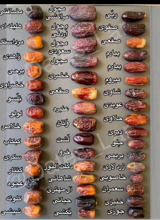 وناسة البر tweet media