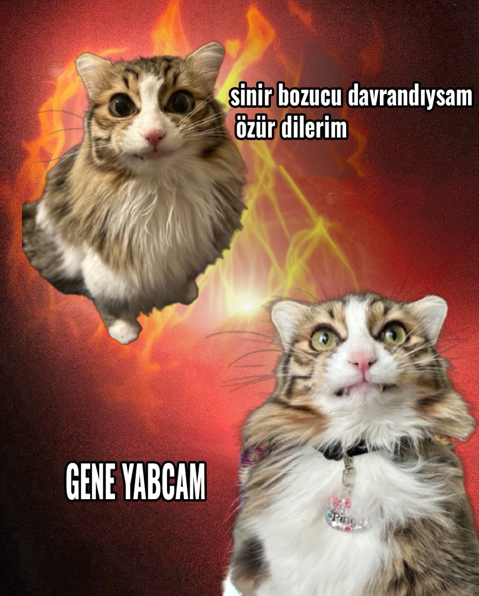 Şu aralar bendir.