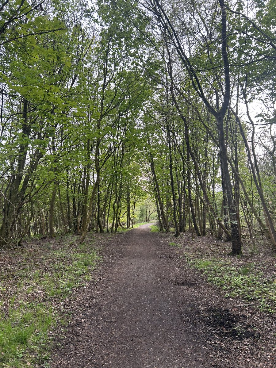 ShivieArgyle's tweet photo. The peace of quiet places is good for the soul
I was determined not to let another day go by without going for a walk
It was worth it ❤️
#nature #bluebells #windingpaths #hope https://t.co/79gFMVqkEH