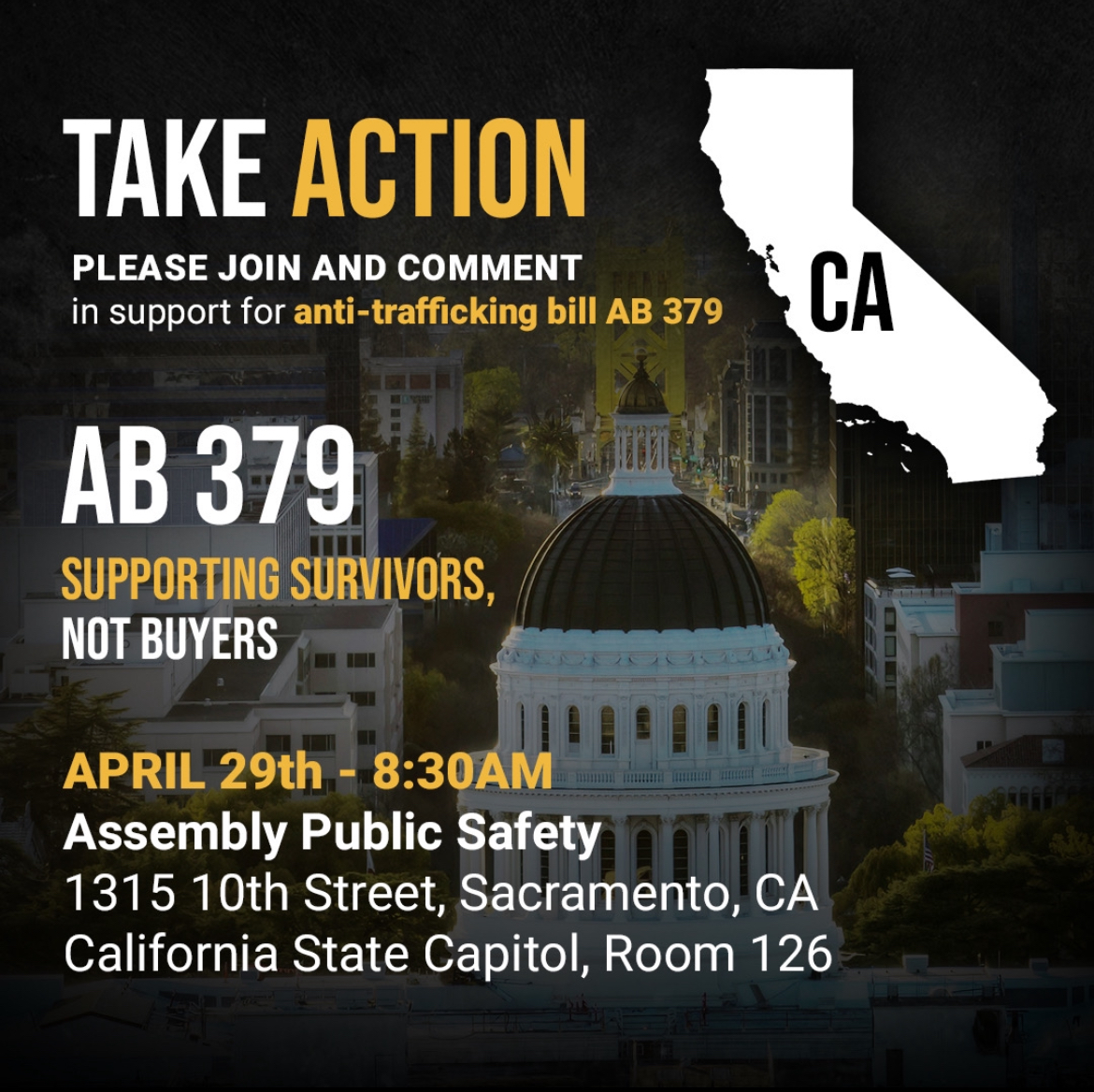 bridge_network's tweet image. 