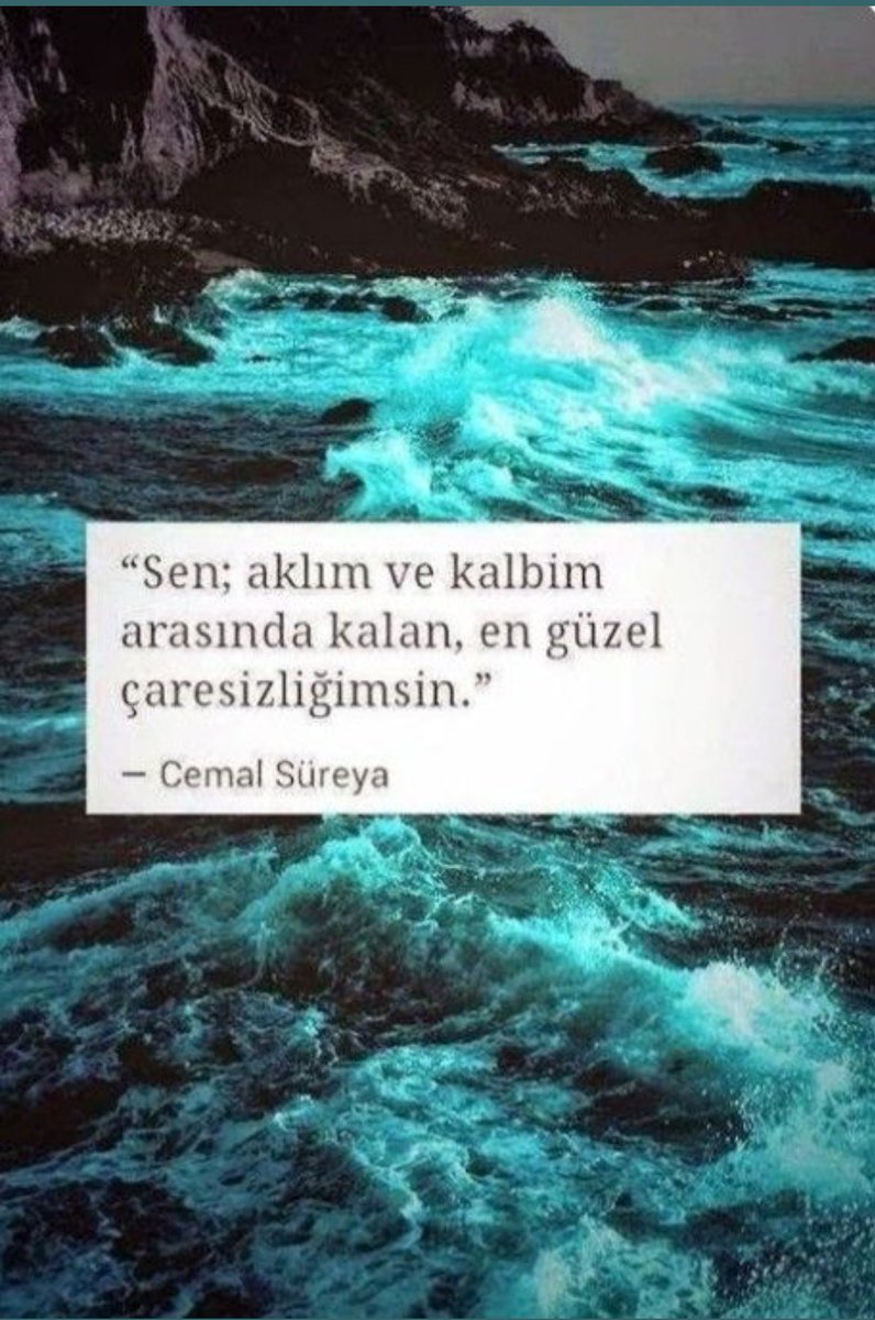 Sen; aklım ve kalbim arasında kalan, en güzel çaresizliğimsin. 

Cemal Süreya