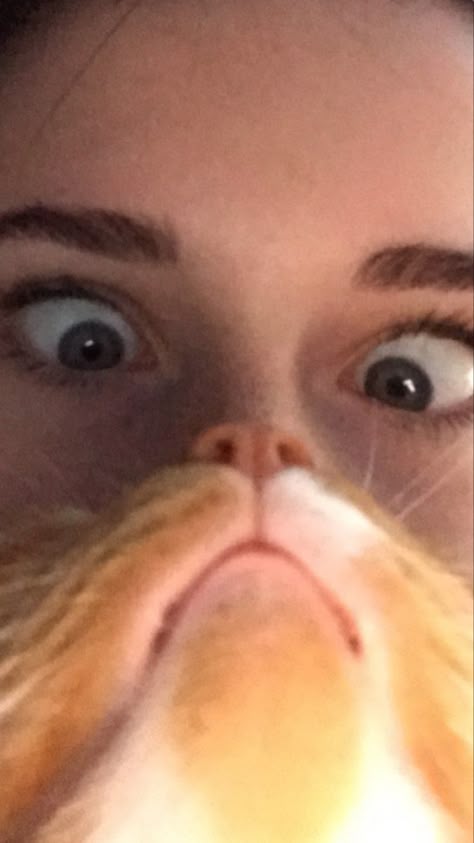 loueete14620's tweet photo. Cute and funny interactions.😸
#KittenScott https://t.co/iXcCrDIBMM