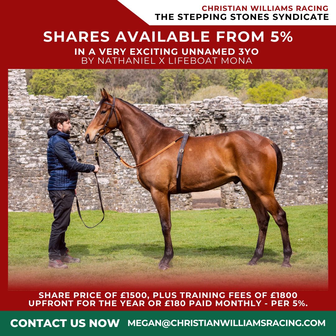 CWilliamsRacing's tweet photo. Delighted to offer shares in this classy 3YO through our Stepping Stones Syndicate, by Nathaniel out of the talented mare Lifeboat Mona. He’s impressed us in all his work so far and we think a lot of him. Full details https://t.co/xxKjKxc01L
✉️ megan@christianwilliamsracing.com https://t.co/Ey8c8J6RVy