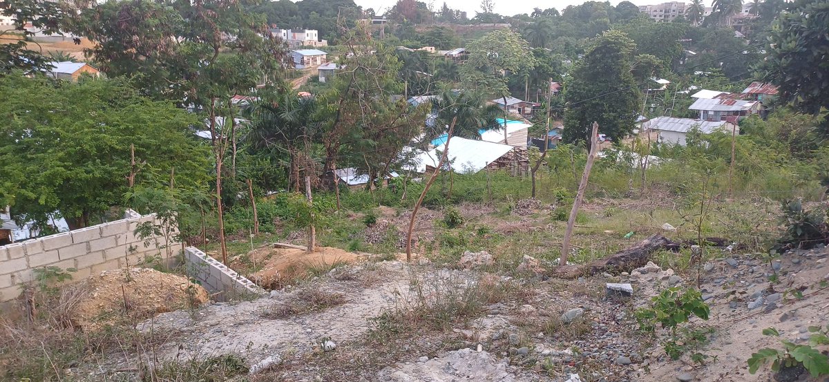 con_medio's tweet photo. Estoy enviando fotos y de octubre pasado, esto se esta convirtiendo en otro mata mosquitos.  @MigracionRDo  @PoliciaRD  @FarideRaful @luisabinader  @MDefensaRD  eso esta detrás del residencial villa naco km 13 aupista Duarte🇩🇴💪 vamos patriotas https://t.co/BIJnjQ6wZW