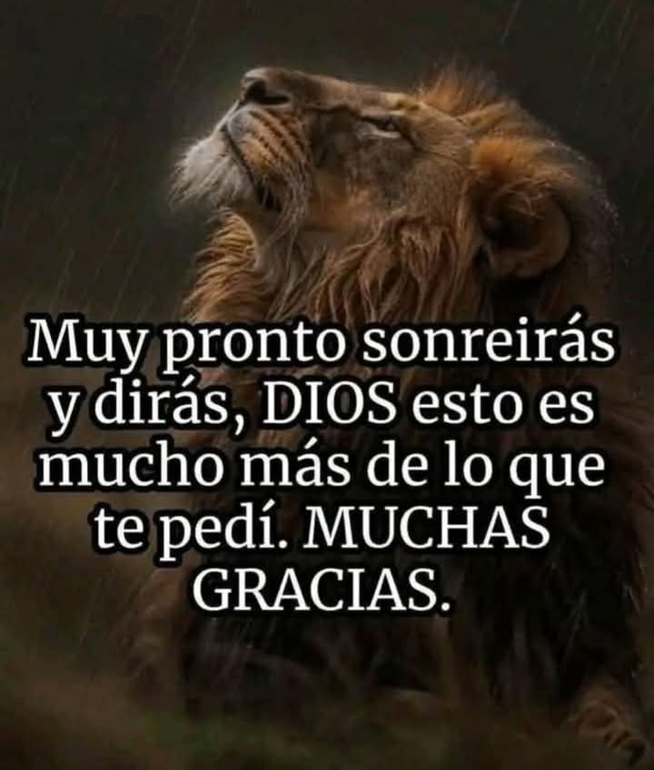 Rodrigo88815738's tweet photo. https://t.co/sx1v7Xccs4