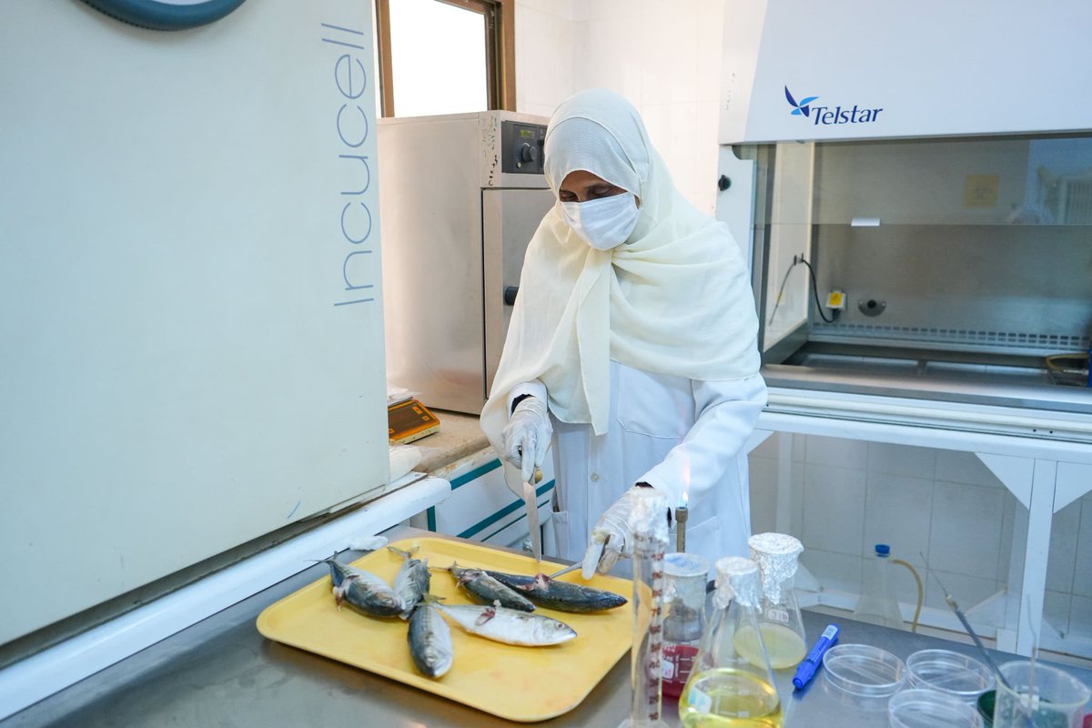 UNDPYemen's tweet photo. Today the Minister of Agriculture, Irrigation and Fisheries visited the Central Laboratory in #Aden - which plays a key role in environmental monitoring and fish quality 🐟

Through our Aden Fishery Harbor Project funded by @BMZ_Bund via @KfW_FZ_int, the lab was fully equipped 🤝 https://t.co/wtNF34jkGx