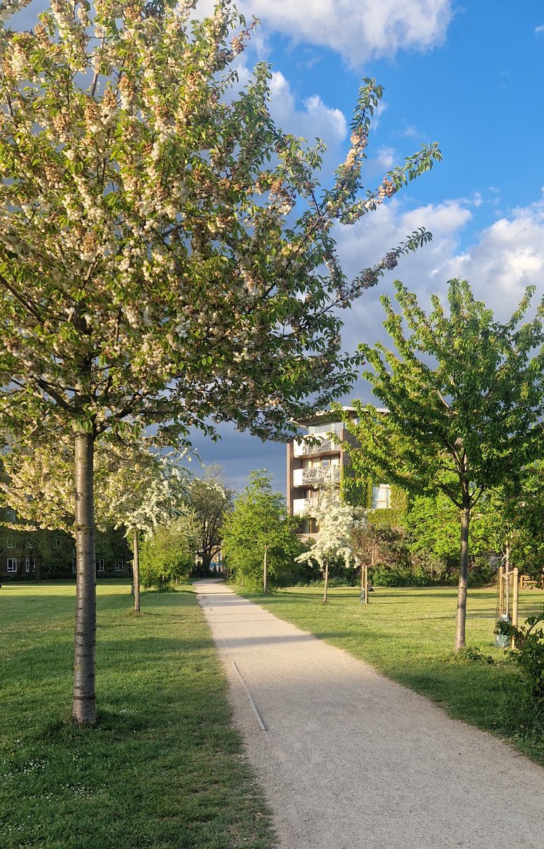 Paul Draper tweet media