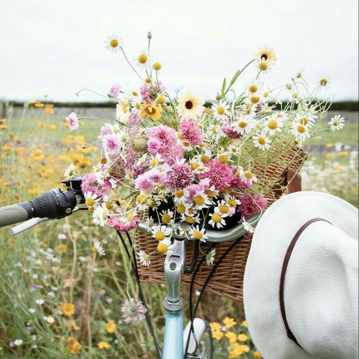 kyumindiary's tweet image. "형~ 여기 봐."

                "음...이렇게?"

"좋아. 예쁘다."

#kyumin #조이