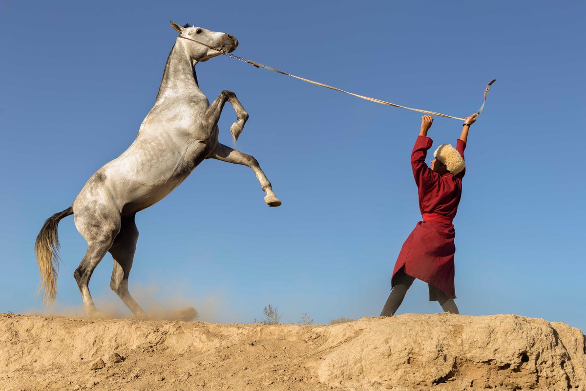 Wikimedia Iran tweet media