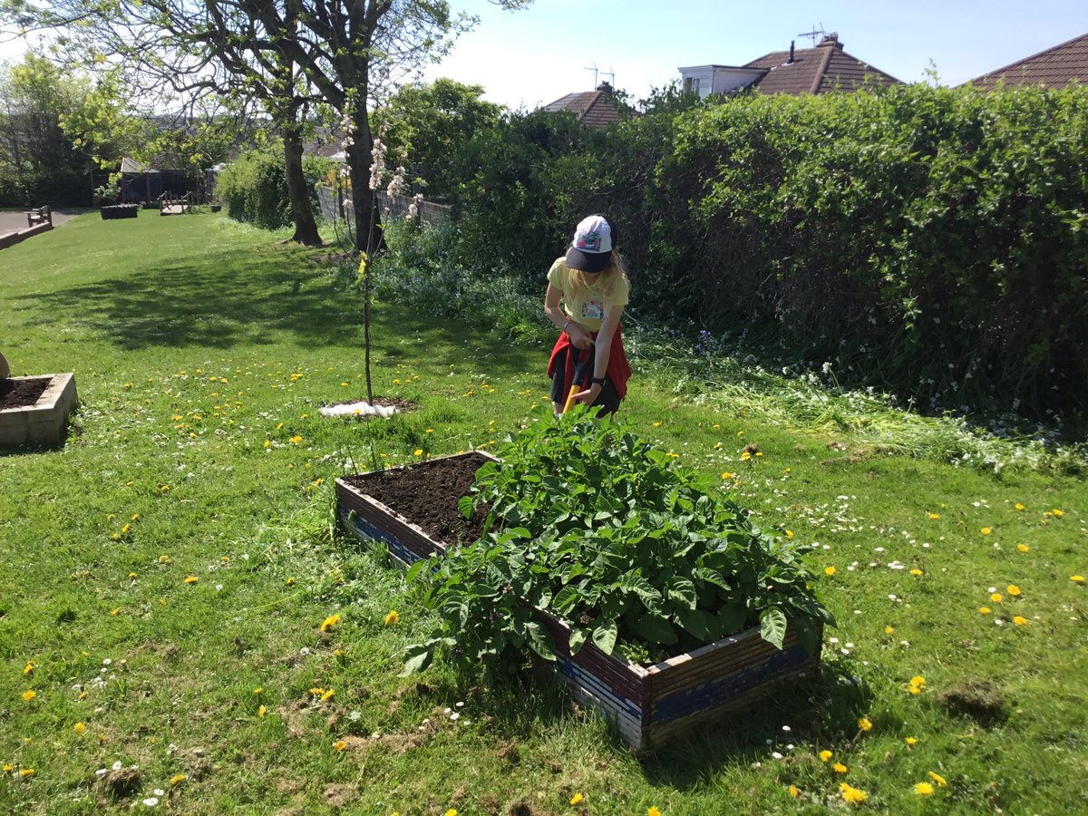 A super sunny start to Eco Week and lots of hard work completed weeding the raised beds ready for planting! Ardderchog! 🌱💪🏻 <a href="/EcoCgi/">CGI-Eco</a> #CGISCI #CGIWB