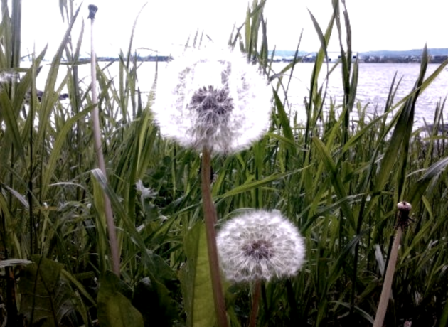 Gran_Almudena's tweet photo. Lo bueno ha invadido el espacio de lo malo, los huecos del rencor, del dolor, de la rabia, todas esas viejas cuentas pendientes que ha ido acumulando a lo largo de los años y que ahora, de pronto, le dan igual. Es mejor empezar por la alegría, y eso hace.

- Los besos en el pan - https://t.co/3FvycJGXWj