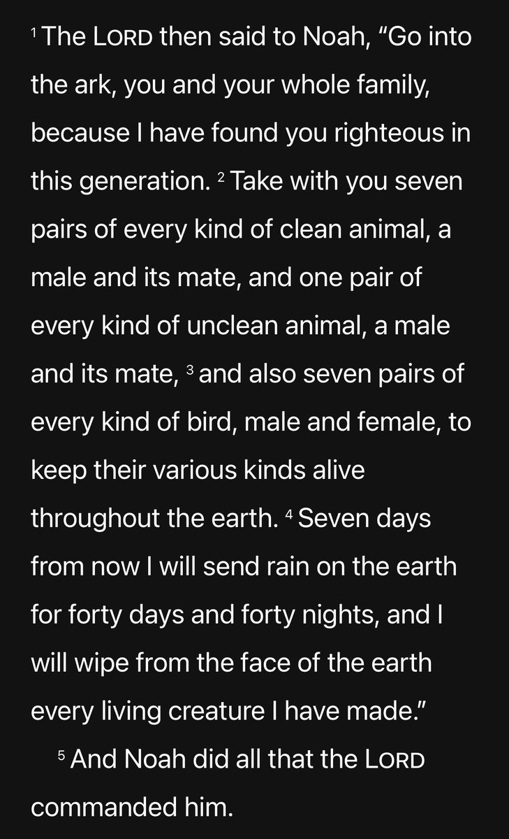 TheNodeCatcher's tweet image. 