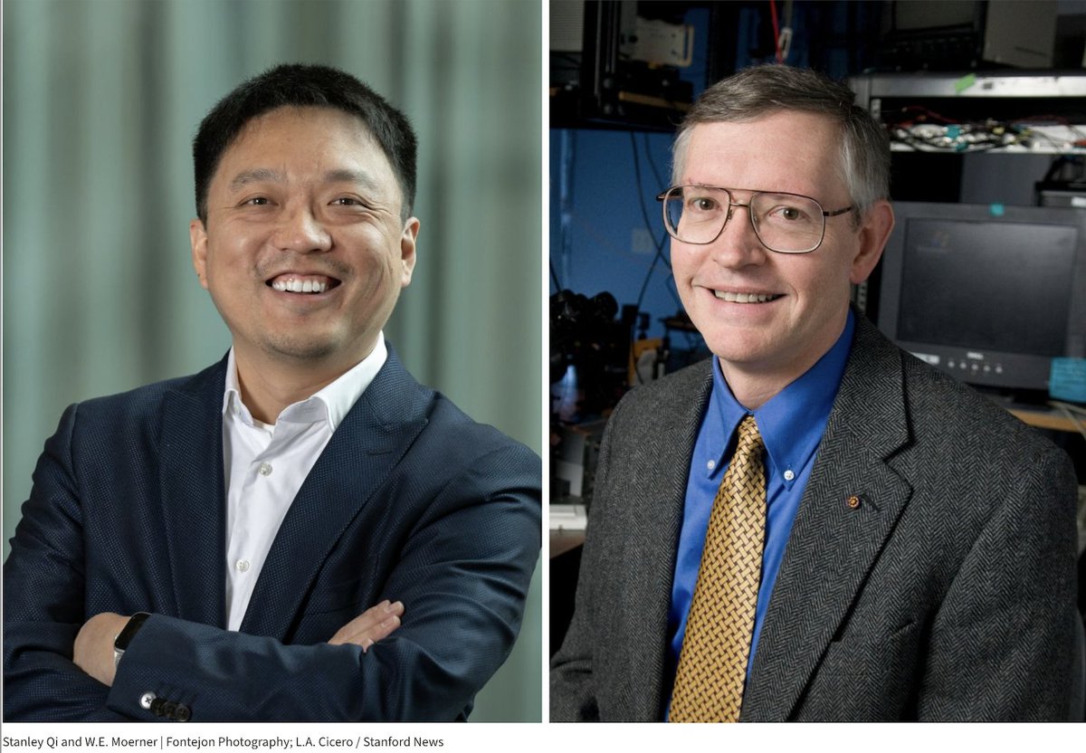 Institute Scholar Stanley Qi <a href="/stanleyqilab/">Stanley Qi Lab</a> &amp; W.E. Moerner <a href="/StanfordUChem/">Stanford Chemistry</a> joined forces to create a tool to see nanoscale 3D movement of any DNA region in the genome during transcription, including in primary cells: news.stanford.edu/stories/2025/0…